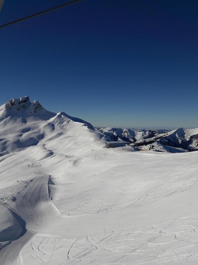 Ferienwohnung Schnetzer Au Au (Vorarlberg) Екстер'єр фото